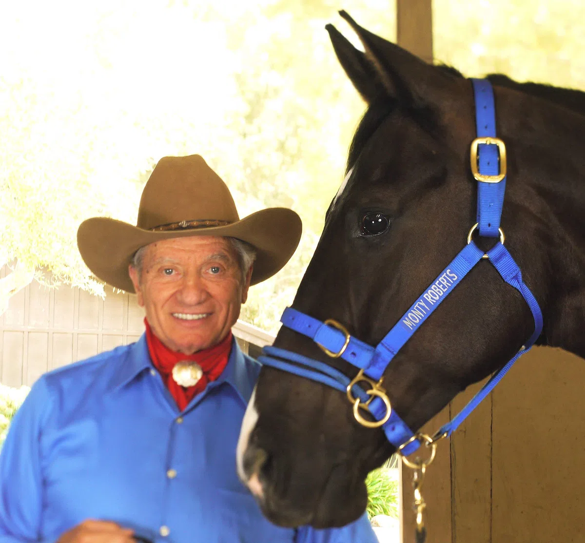 Monty Roberts Licol Dually