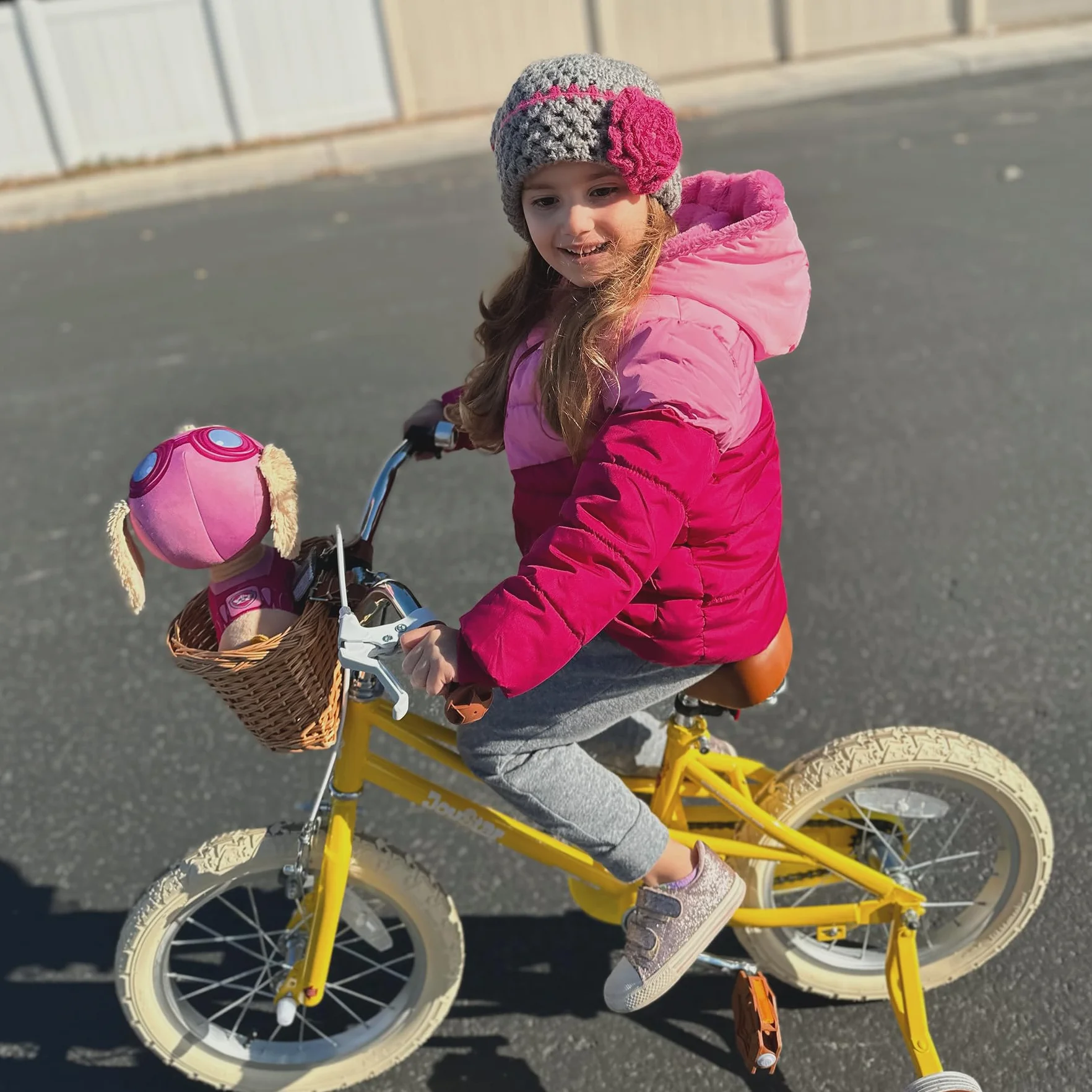 JOYSTAR vélos pour Filles 12-20 Pouces avec Roues d'appoint et Panier
