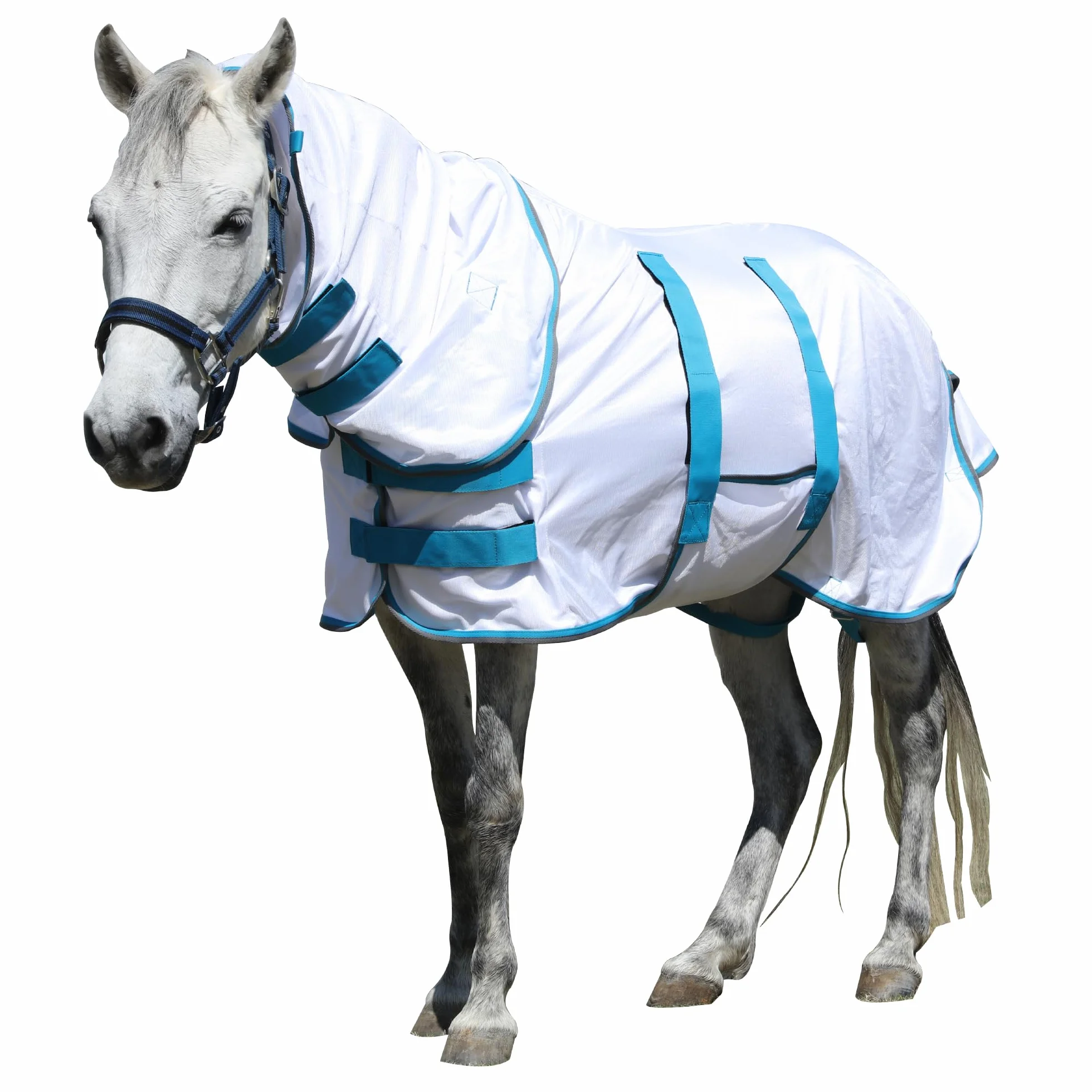 Couverture anti-mouches pour poney avec partie détachable pour le cou, respirante et légère, confortable, couverture d'été pour mini-, shetty- et poneys nains, sangles de poitrine et