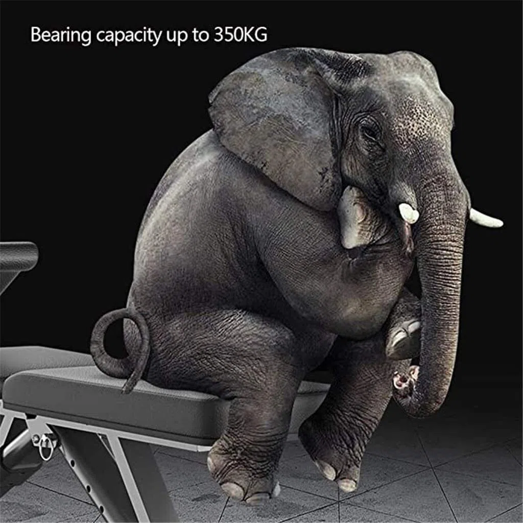 Banc d'haltères, machine à coups de pied, chaise de prêtre, tabouret romain, banc multifonction, bancs réglables, planche abdominale de presse, équipement de fitness pliable à domicile, commerc