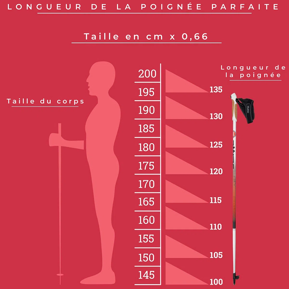 ATTRAC Bâtons de Marche Nordique Ultra légère 99% de Carbone avec dragonnes réglables et détachables - Attention: l'applicationsur Smartphone est appliqué Seulement en Allemagne/Taille (120cm)