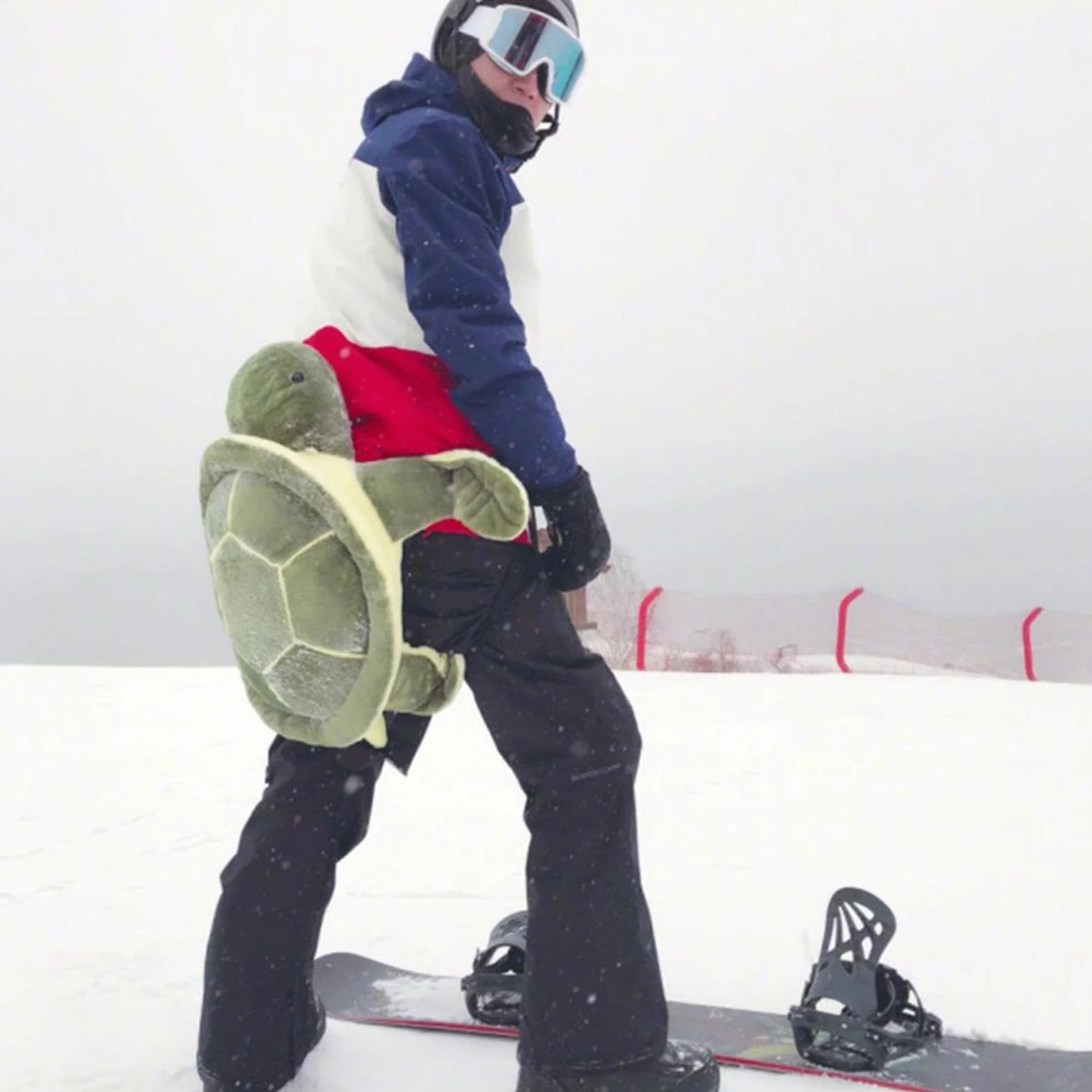 Tapis de Snowboard Turtle – Tapis de Fesses Turtle | Tortues Butt Pads Snowboard, Snowboards Tortue Coussin, Ski Snowboards Patinage Pads Tur-tle Hip Coude Genou Protection pour Adultes