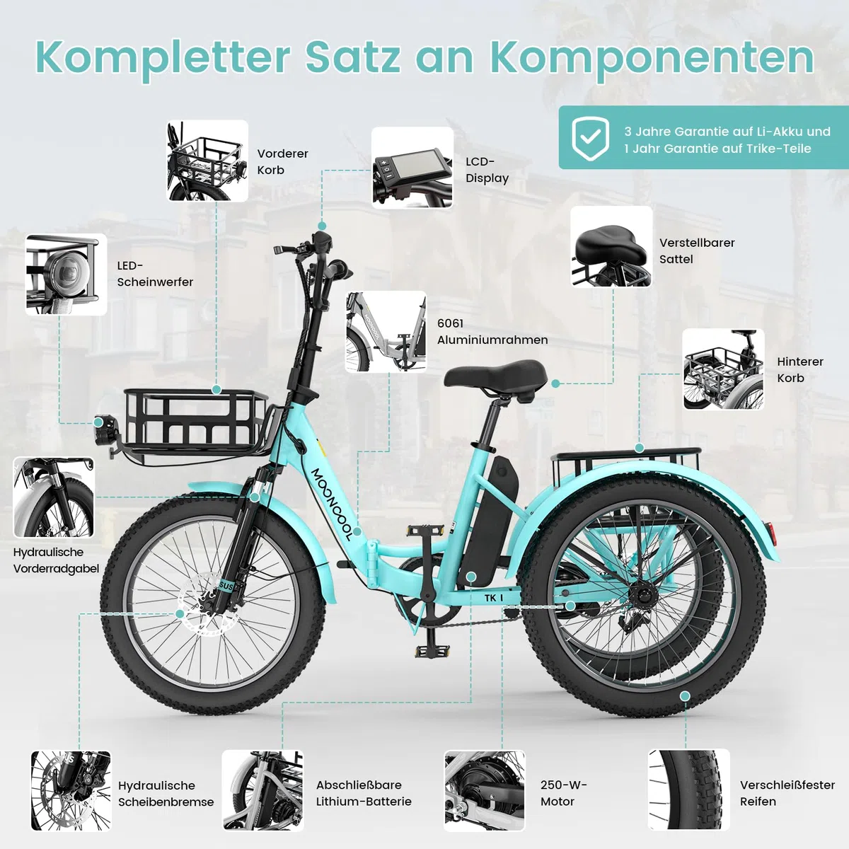 Tricycle Velo Electrique, Pliable VéLo éLectrique E Bike Roues 20 Pouces pour Homme Femmes Et Adulte, avec 36V 20ah Batterie, Moteur 250w, écran LCD, Vitesse 25 Km/H, Ip65 avec Grands Paniers