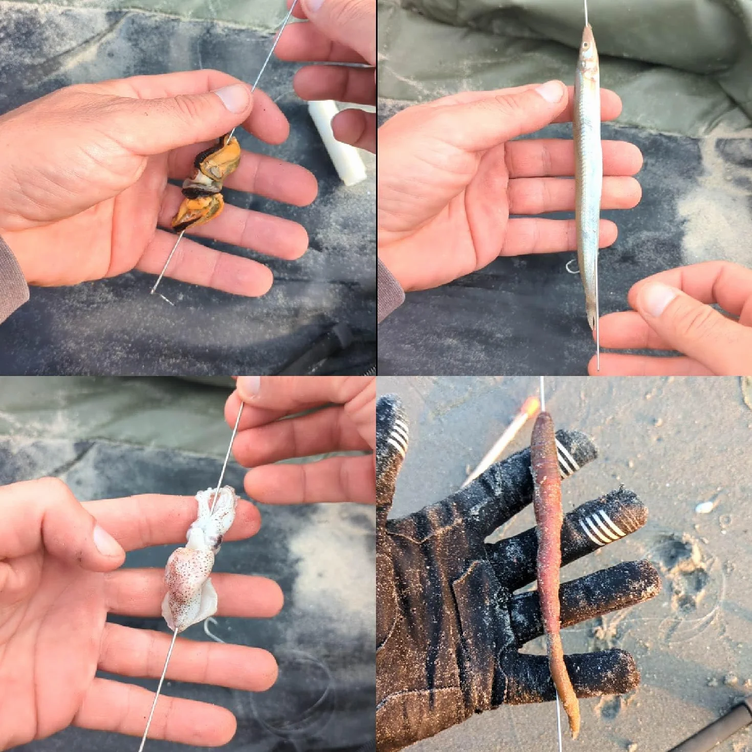 F2M - Pack pêche en surfcasting - Lot de 2 Rouleaux de Fil à ligaturer Les appâts + 1 Boite de 5 Aiguilles à locher Les vers