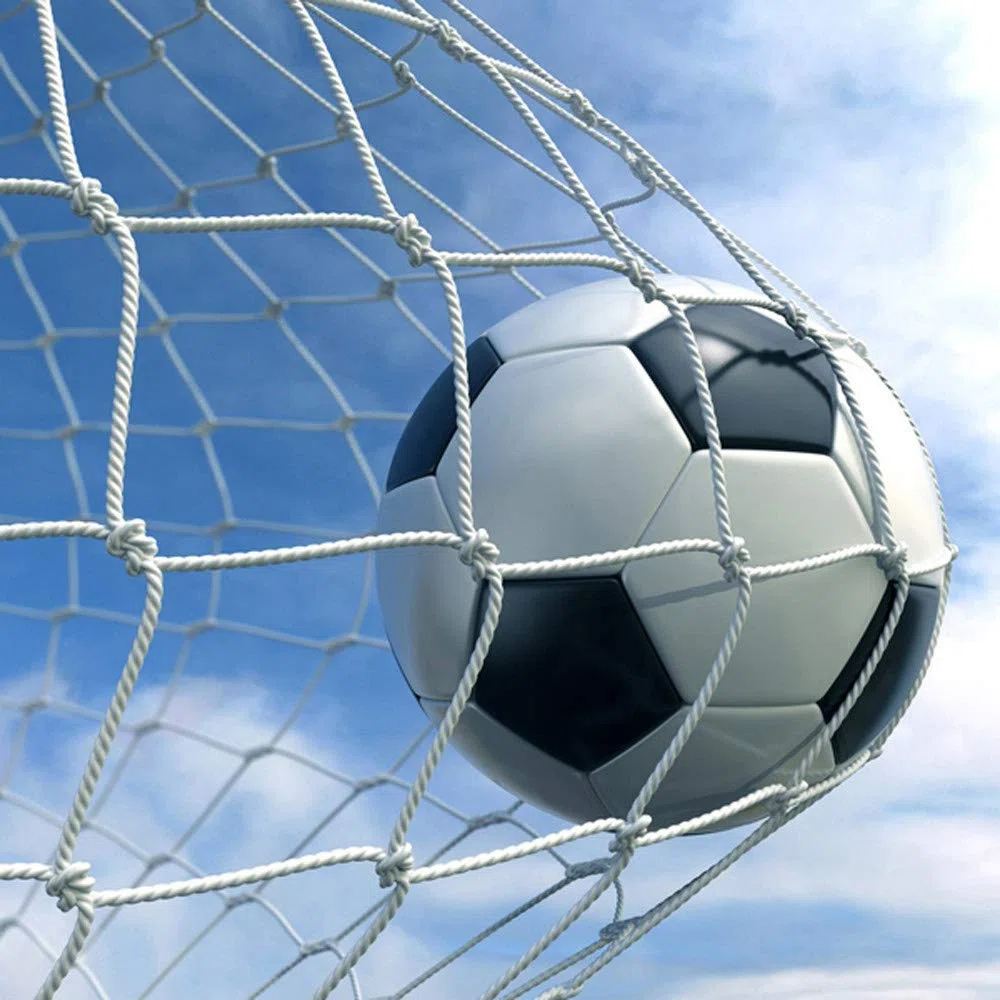 2,4X 1,8X 0,5X 1,2M Filet de But de Football en Polypropylène, Sport Durables, Équipement d'Entraînement du Football Enfant Adulte pour Jardins,Parcs,Plages (B)