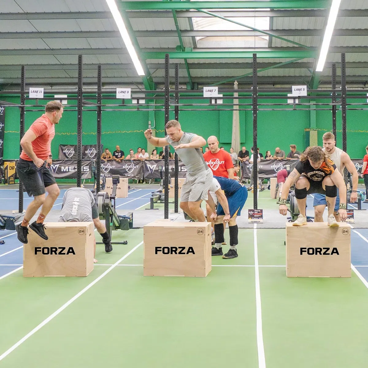 Forza Box Jump Pliometrie 3-en-1 – Appareil Musculation, Fitness & Crossfit | Plyobox en Bois pour Box Training | Hauteur Réglable de 51cm, 61cm & 76cm Plyo Box