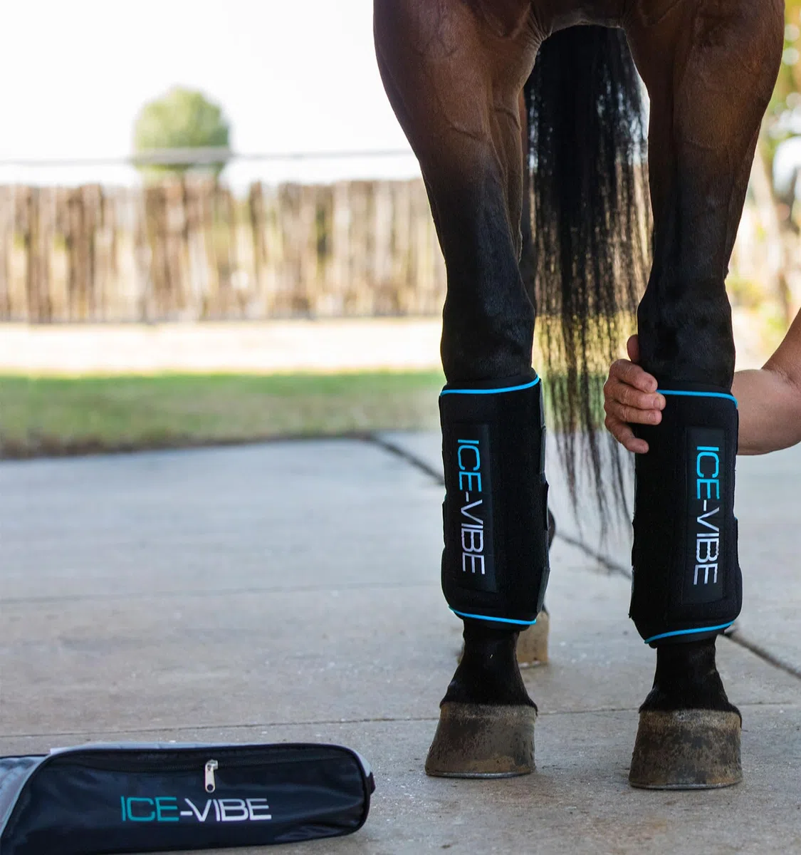 Horseware Botte Vibe De Glace