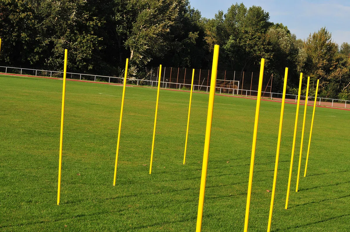 Vinex 12 Piquets de Slalom dans Sac Robuste - 160 cm