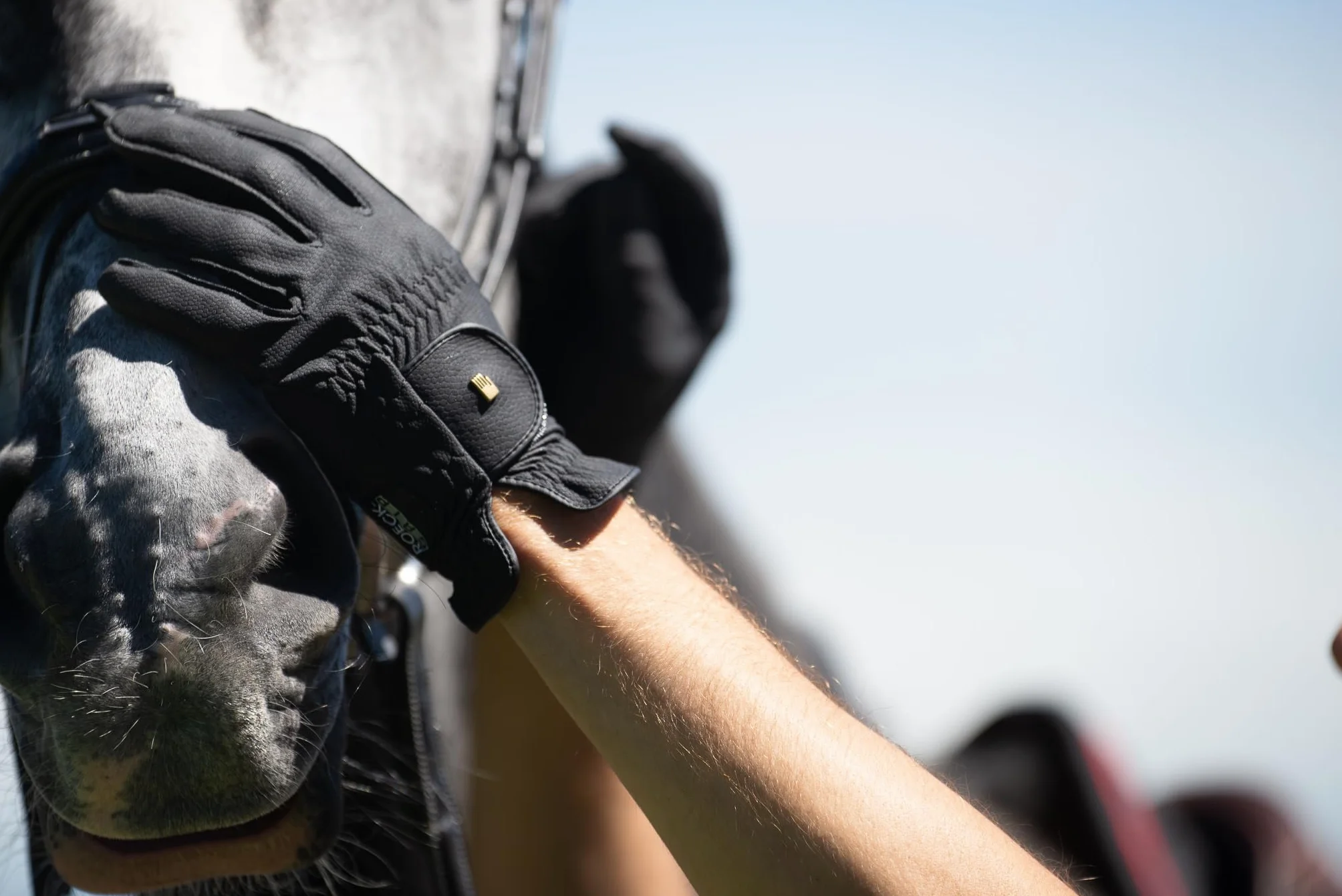 Roeckl Gants d'équitation ROECK-Grip, Gants d'équitation d'été, 7 Couleurs, Taille 6-11