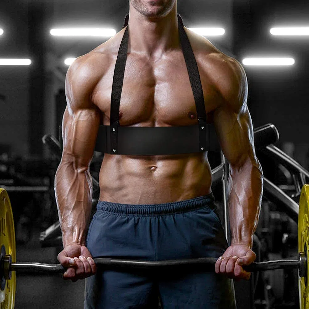 Ejoyous Isolateur de Biceps Réglable pour Musculation, Halterophilie et Fitness, Entraînement des Bras