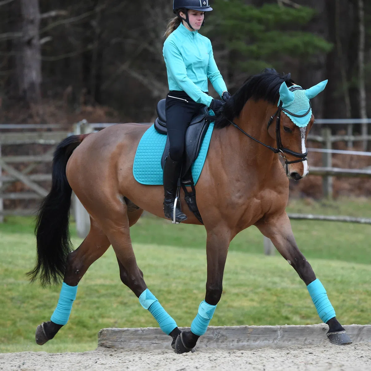 WeatherBeeta - Tapis de selle PRIME - Cheval (Pony) (Turquoise)