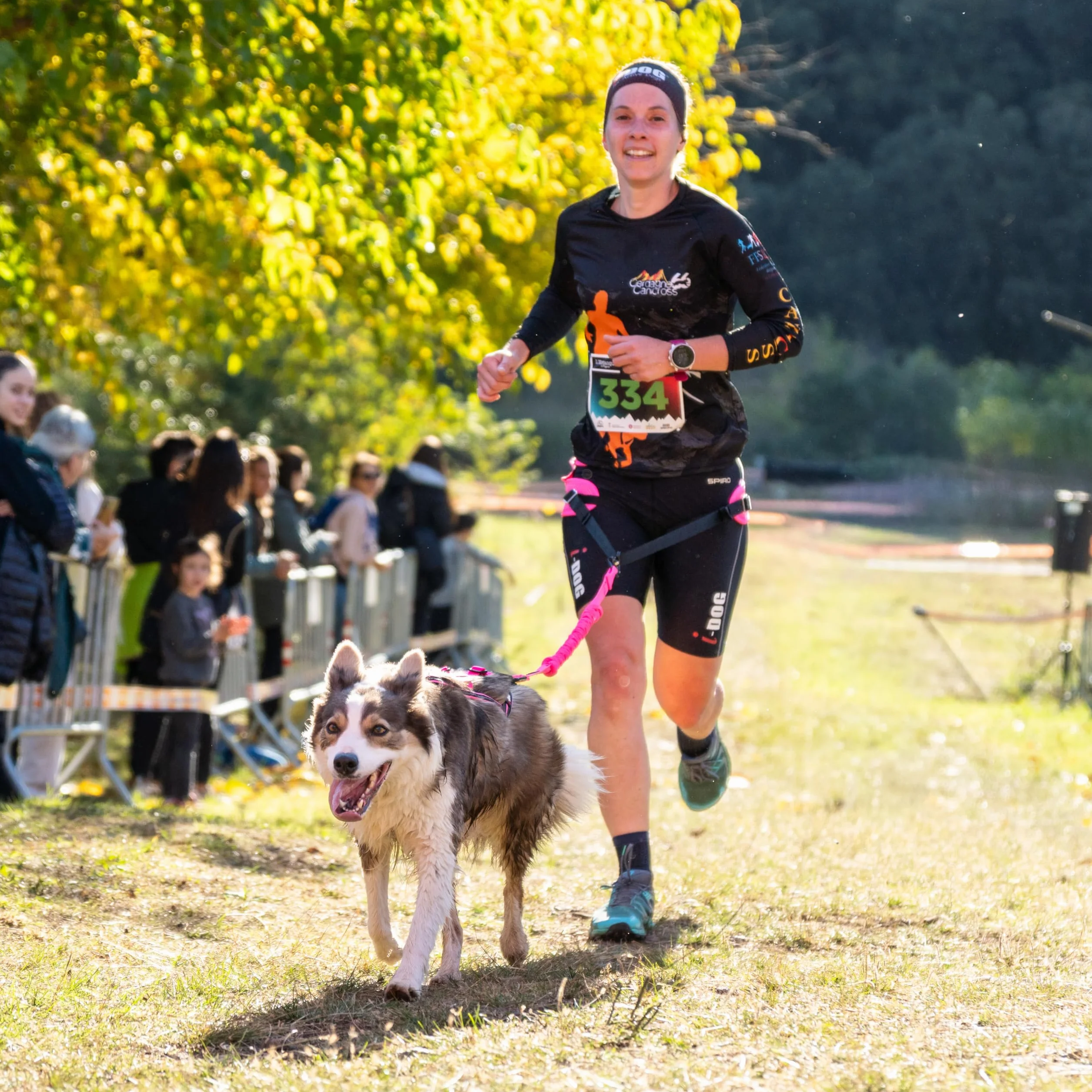 Baudrier Ceinture RAIDLIGHT I-dog Marque Française Taille Unique Rose pour Chien Cross Rando Jogging Trail