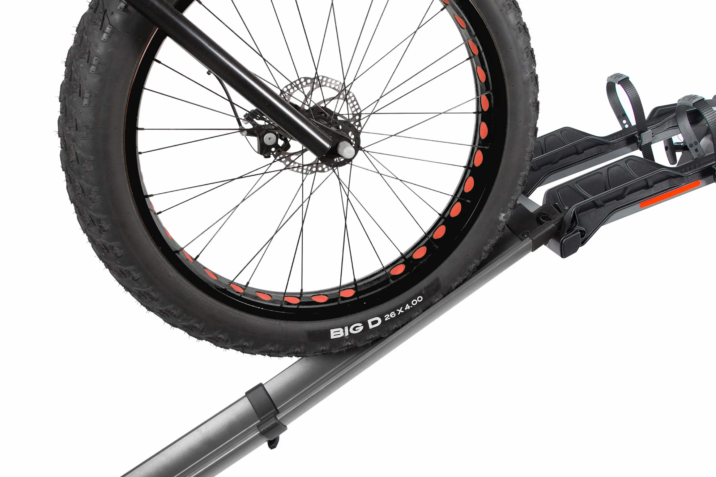 Buzzrack - Rampe E-Bike (E-Scorpion et E-Hornet)