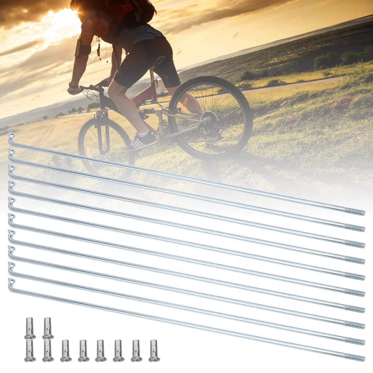 Lot de 10 rayons de vélo - En acier inoxydable - 13 G - 2,2 mm