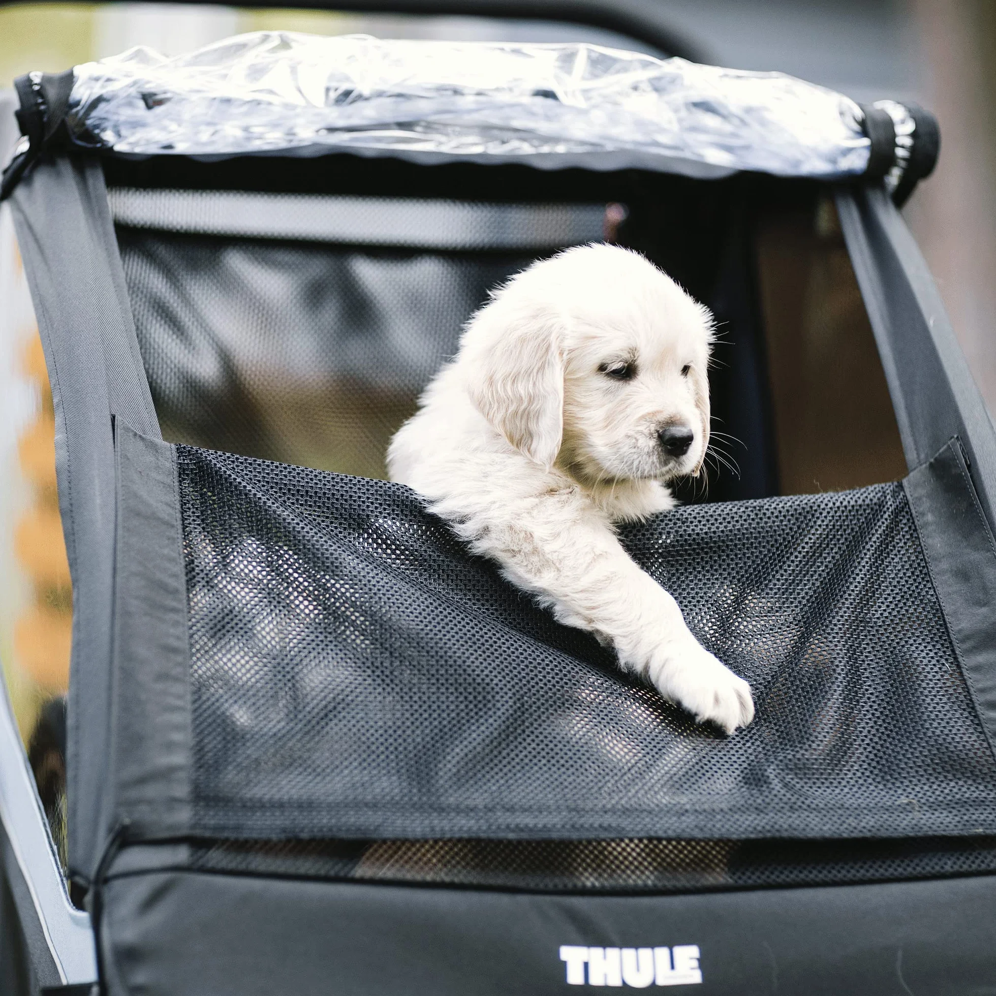 Thule Courier Remorque À Vélo