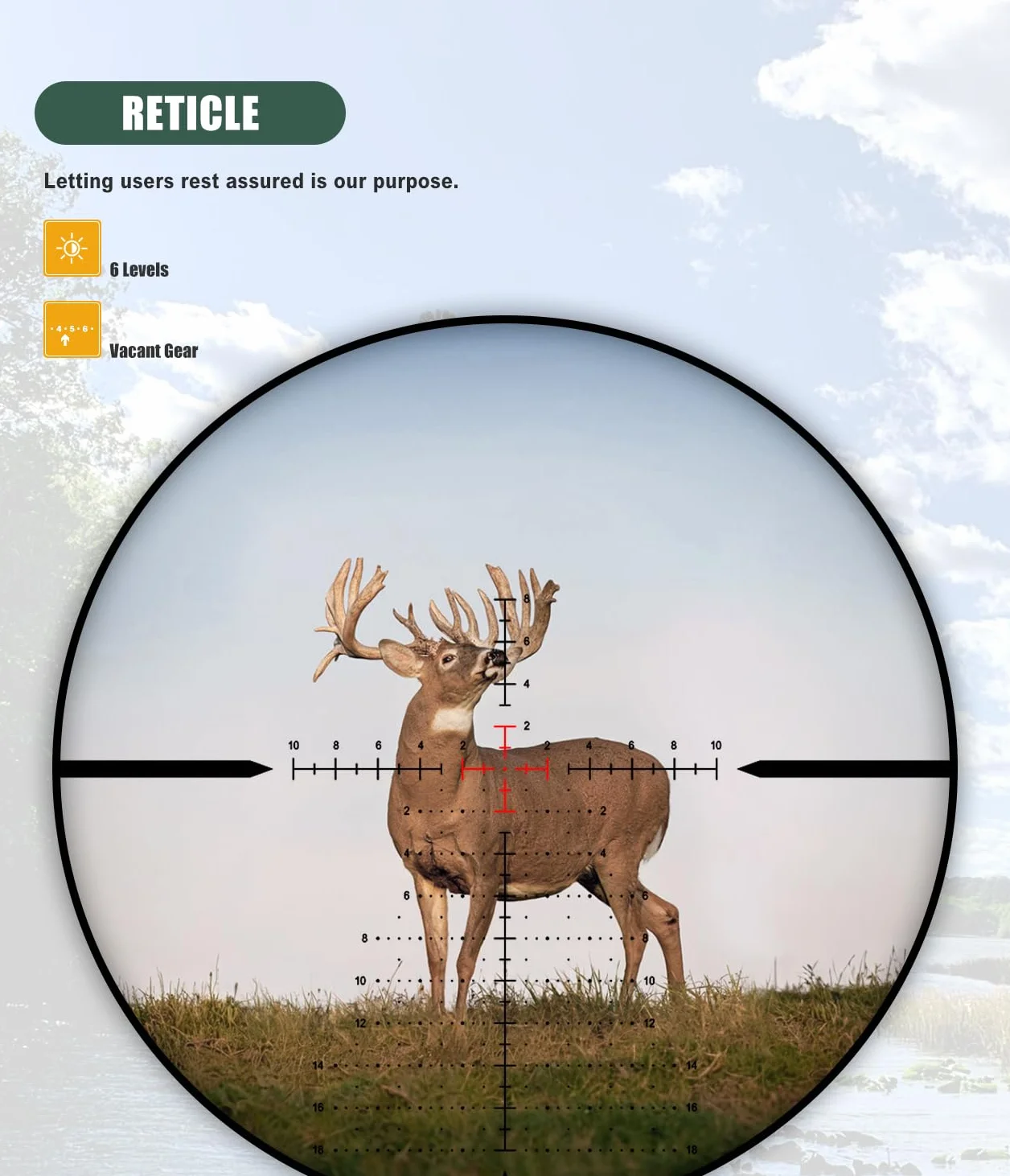 SPINA OPTICS 6-24x50E FFP II première Lunette de Fusil à Plan Focal avec Treillis de précision mrad Rouge et visière