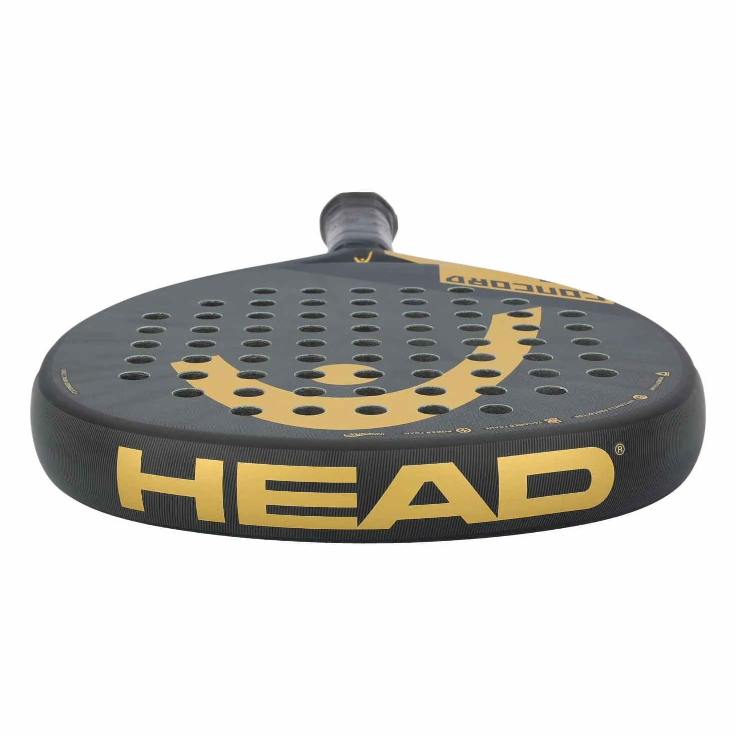 HEAD Concord