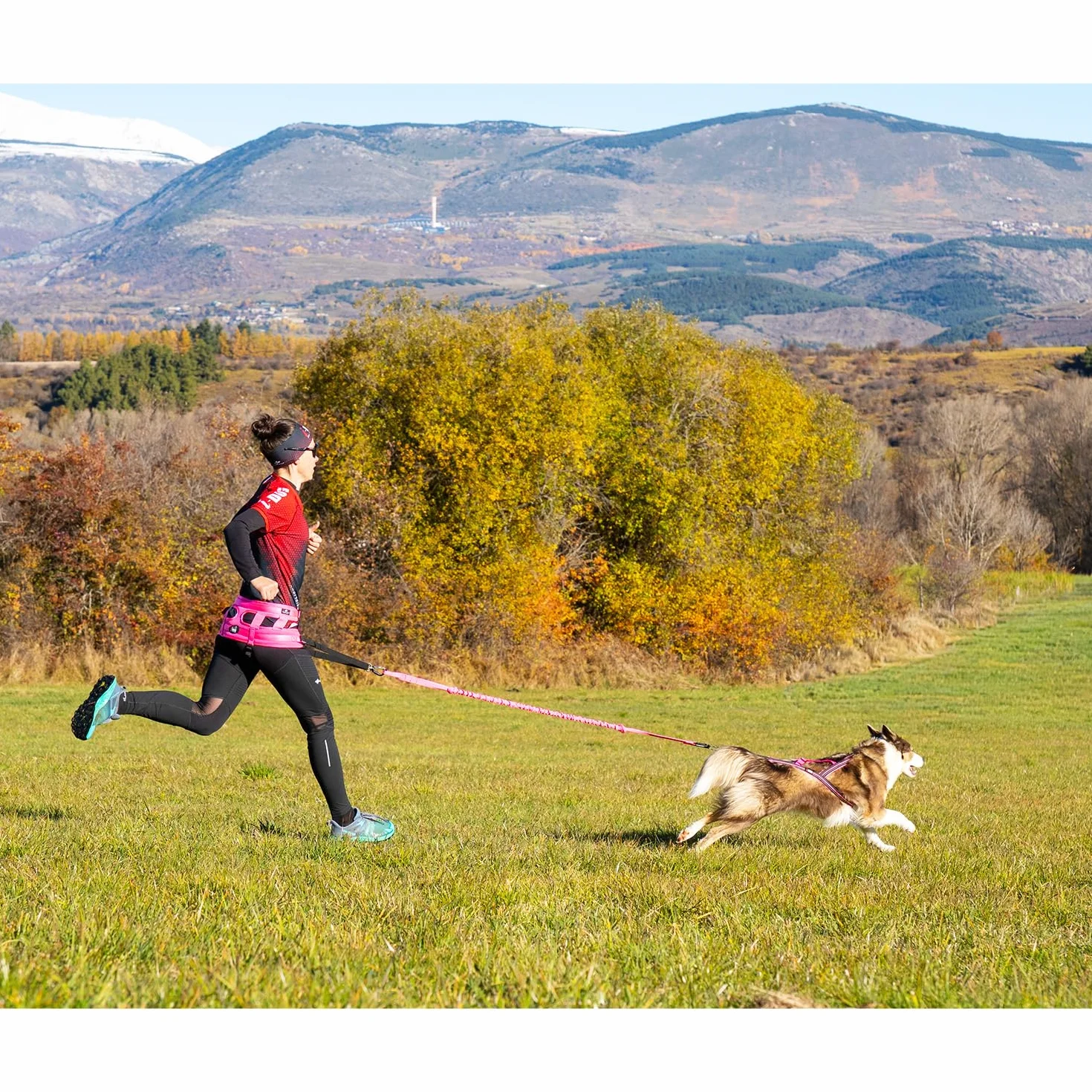 Baudrier Ceinture RAIDLIGHT I-dog Marque Française Taille Unique Rose pour Chien Cross Rando Jogging Trail