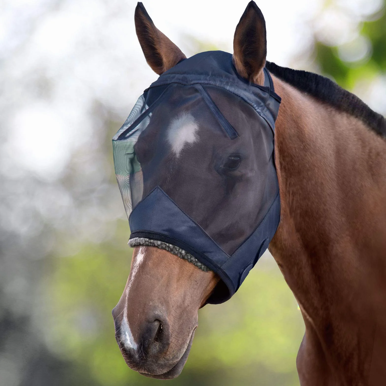 CareMaster Masque Anti-Mouches Protection Anti-UV Noir Poney (S)