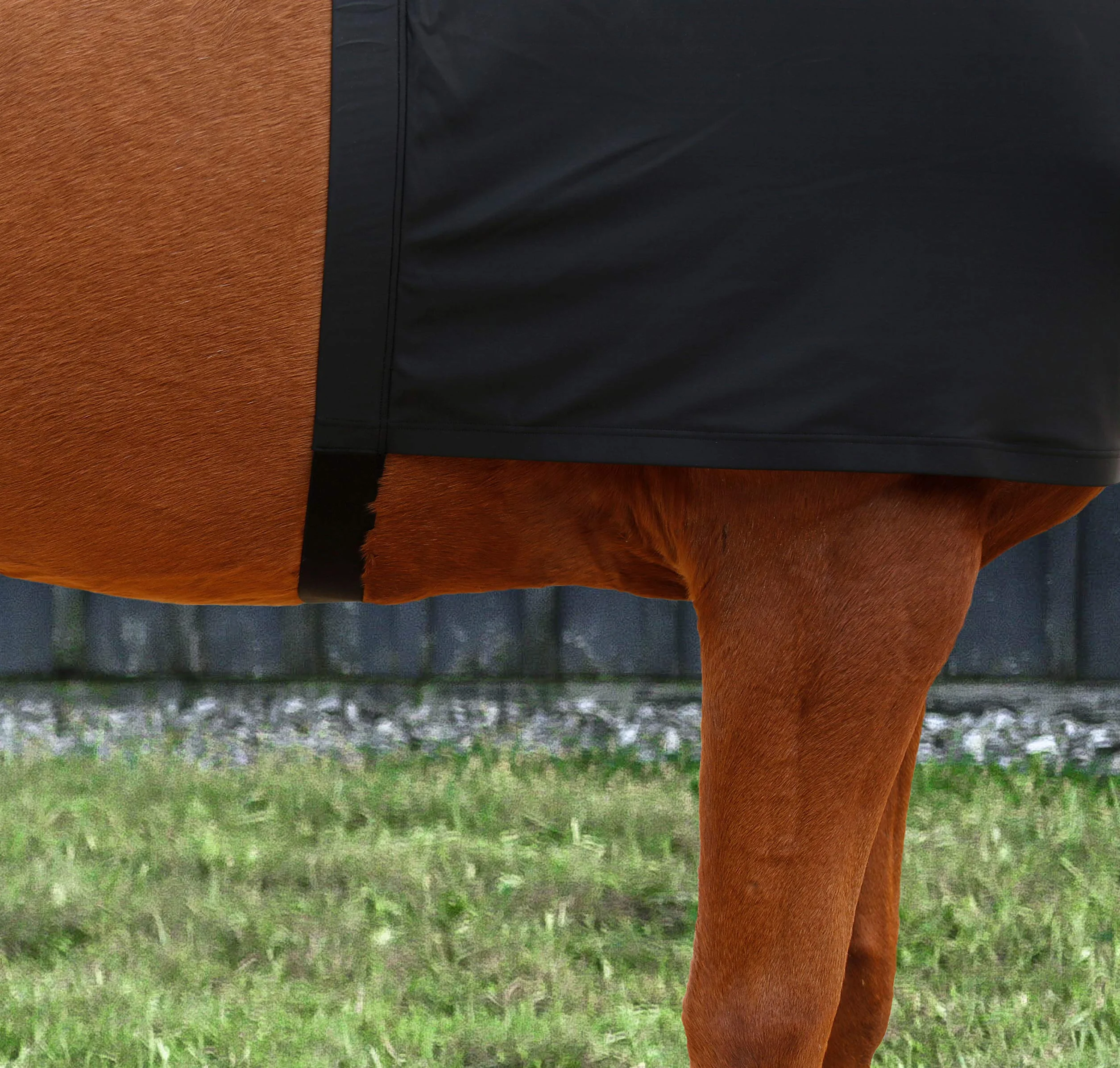 Harrison Howard Gilet Extensible Anti-frottement pour protéger Les épaules et la Poitrine de Cheval