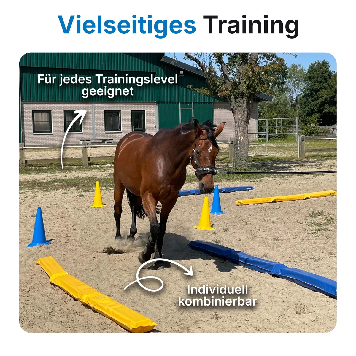 Entraînement des chevaux, Équitation, Travail de fond, Exercice d'équilibrage, 4 pièces 300x17x10 cm remplie, monter, Formation de Cheval