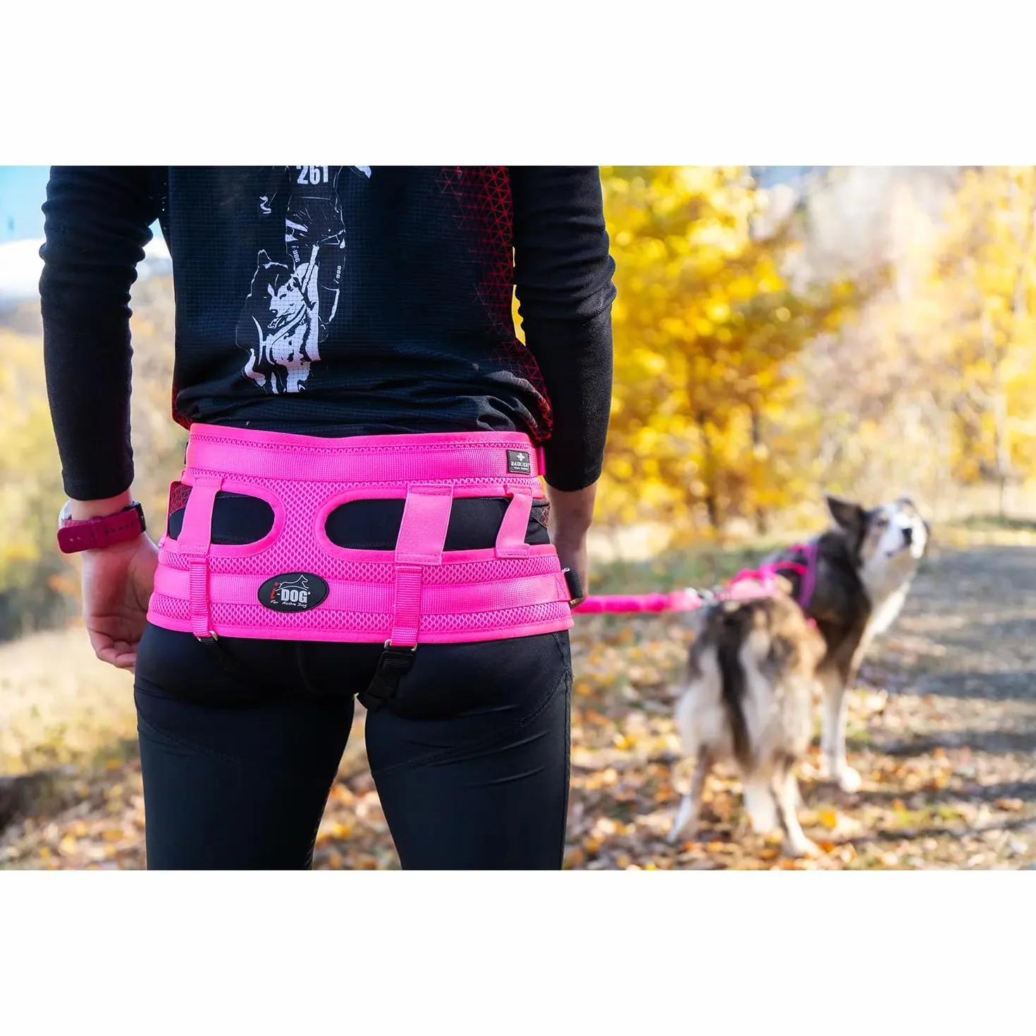 Baudrier Ceinture RAIDLIGHT I-dog Marque Française Taille Unique Rose pour Chien Cross Rando Jogging Trail