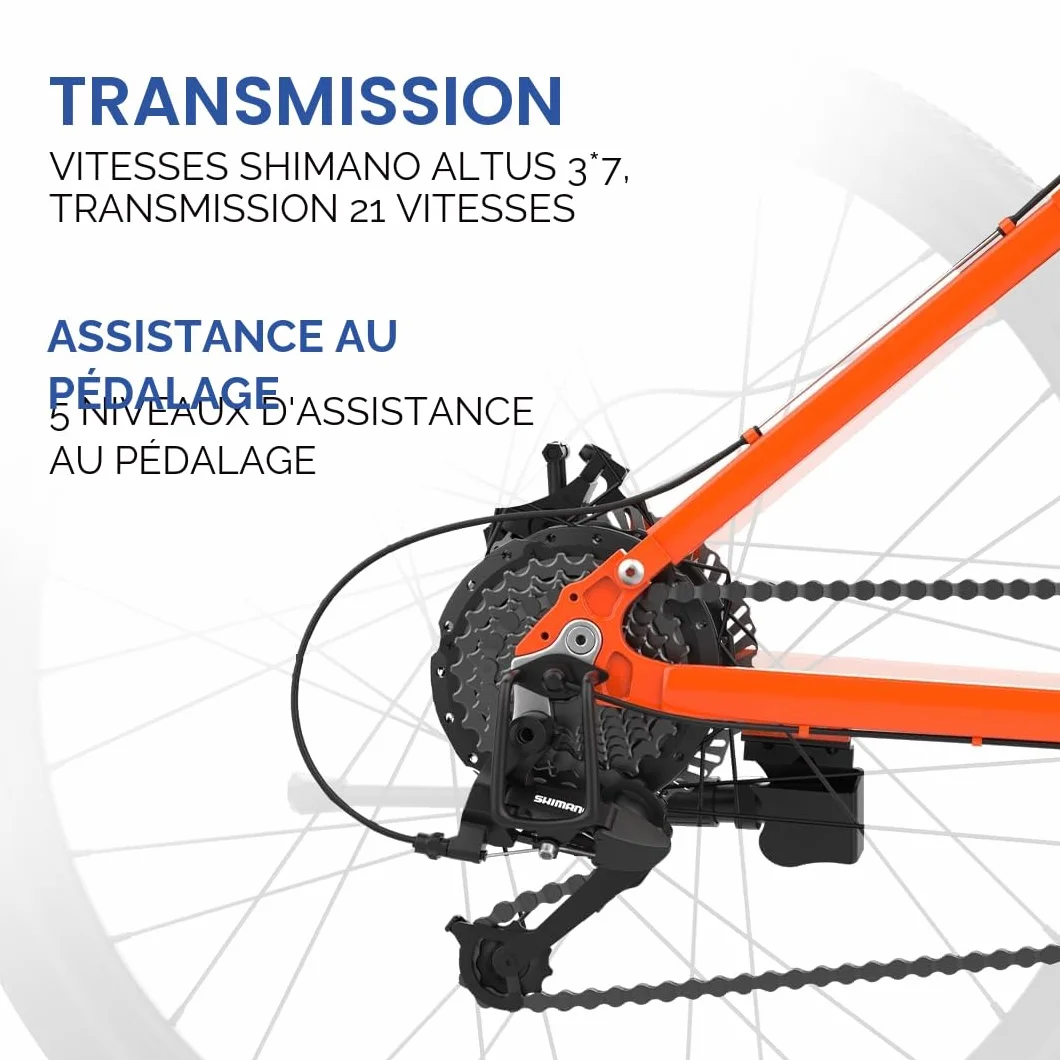 EMotorad EMX+ | Vélo électrique Tout-Terrain pour Adultes | pneus 27,5 x 2,1" | Moteur 36 V 250 W | Batterie 13 Ah Amovible | Double Suspension | Freins Hydrauliques | Écran Couleur C8