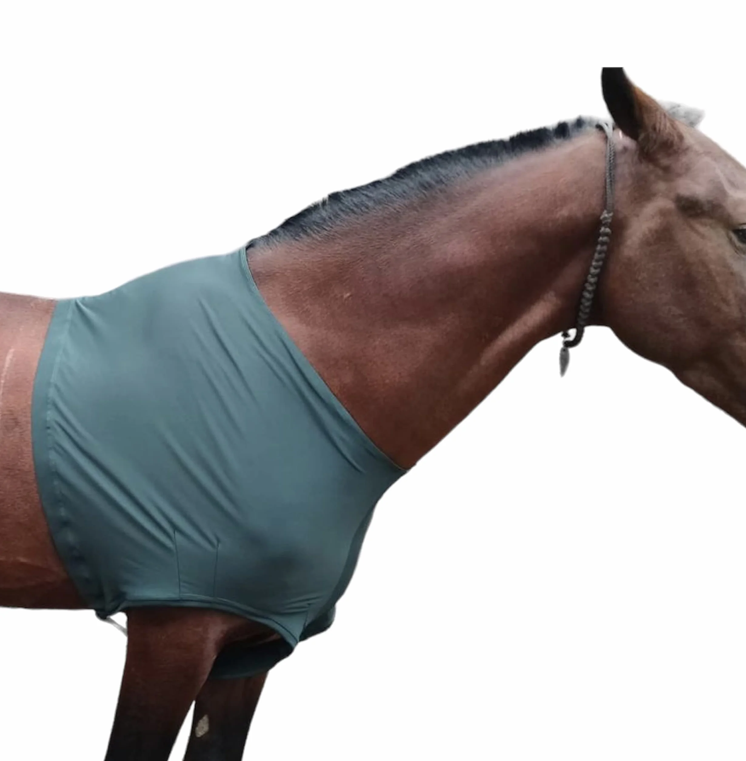 Protège-épaules Cheval Lycra Stretch Grand Vert Chasseur Majestic Ally