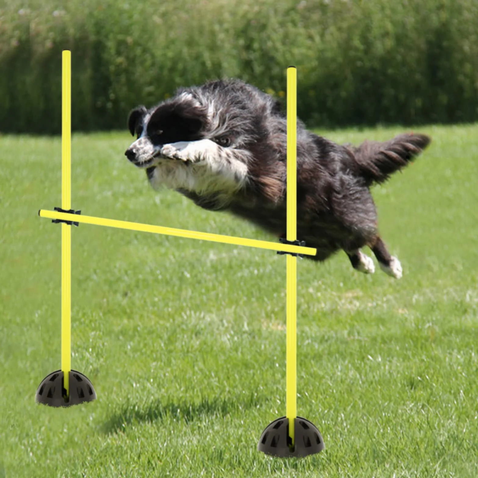 Agility Grid Lot de barres de saut pour entraînement conditionnel, 15 barres, 10 pieds, 10 clips