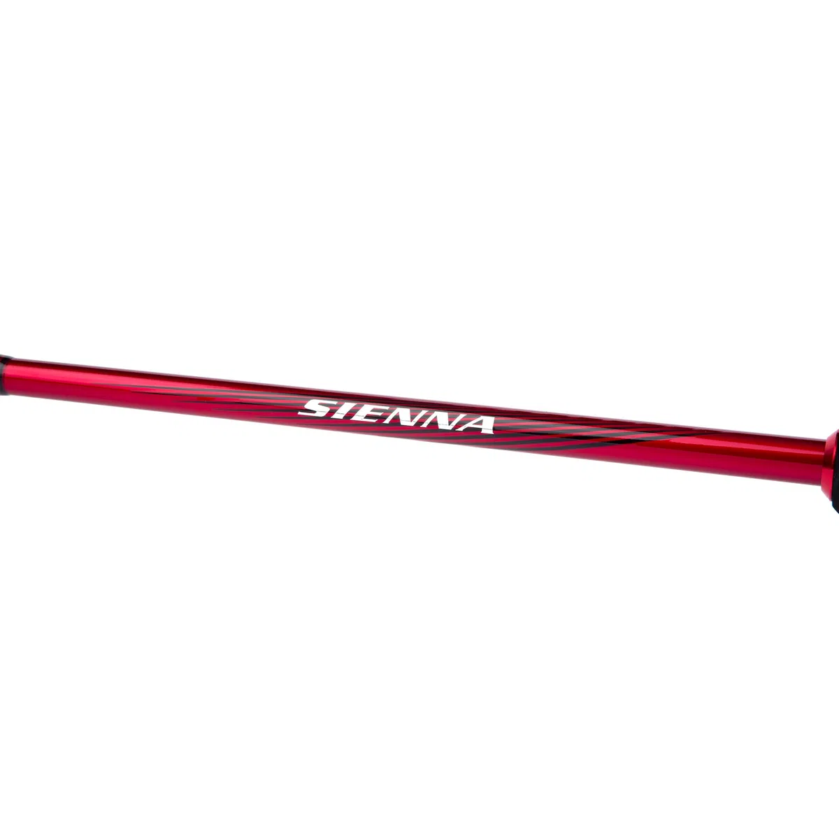 SHIMANO Canne Sienna Spinning EVA 2.69m (50-100g) | Canne Spinning
