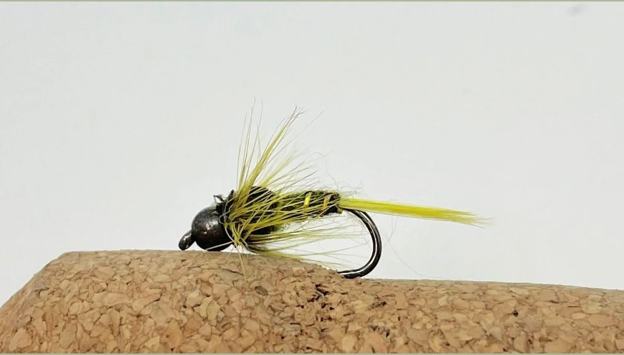 Lot de 24 mouches nymphes sans ardillon à tête dorée et tungstène pour truite - Tailles mélangées