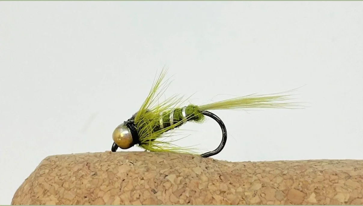 Lot de 24 mouches nymphes sans ardillon à tête dorée et tungstène pour truite - Tailles mélangées