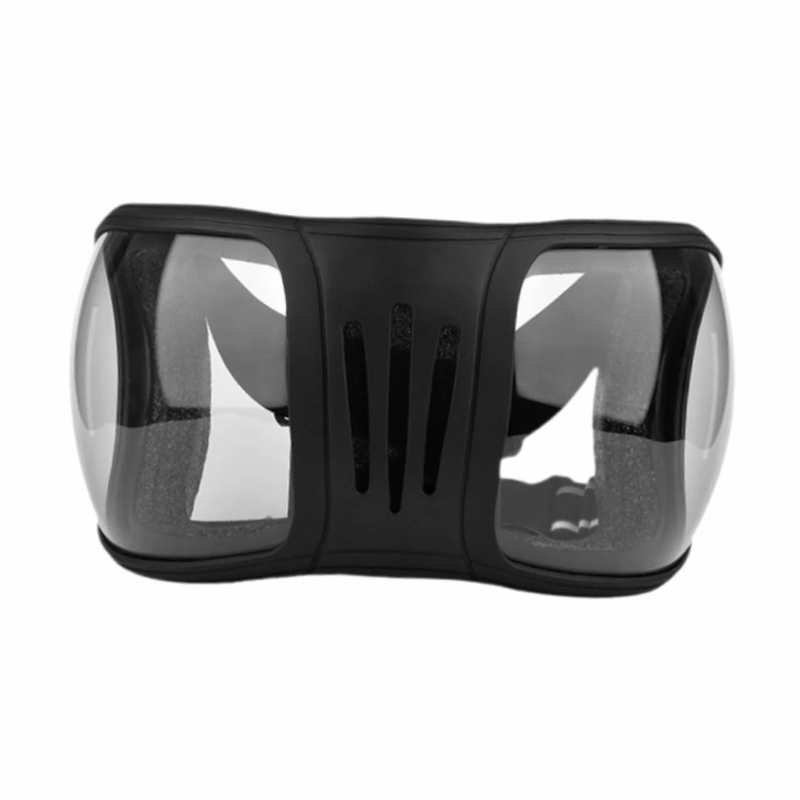 Lunettes de Chevaux Anti-poussière UV400 15x27 cm Clair et Noir