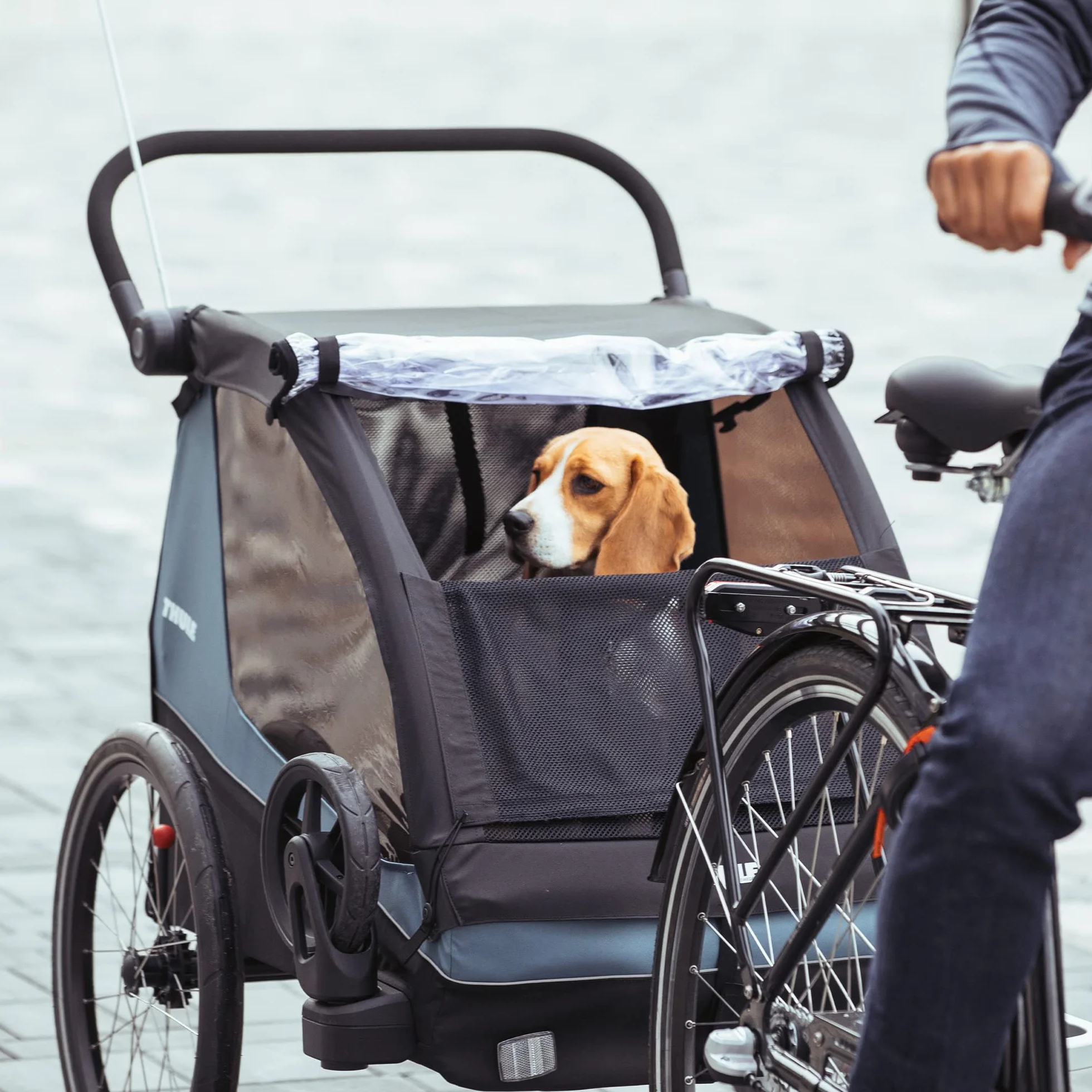 Thule Courier Remorque À Vélo