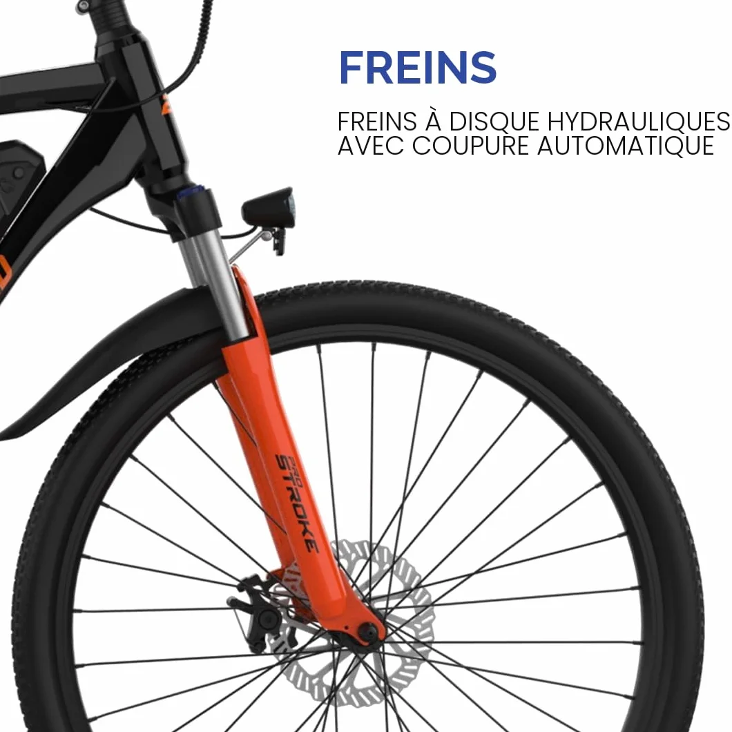 EMotorad EMX+ | Vélo électrique Tout-Terrain pour Adultes | pneus 27,5 x 2,1" | Moteur 36 V 250 W | Batterie 13 Ah Amovible | Double Suspension | Freins Hydrauliques | Écran Couleur C8