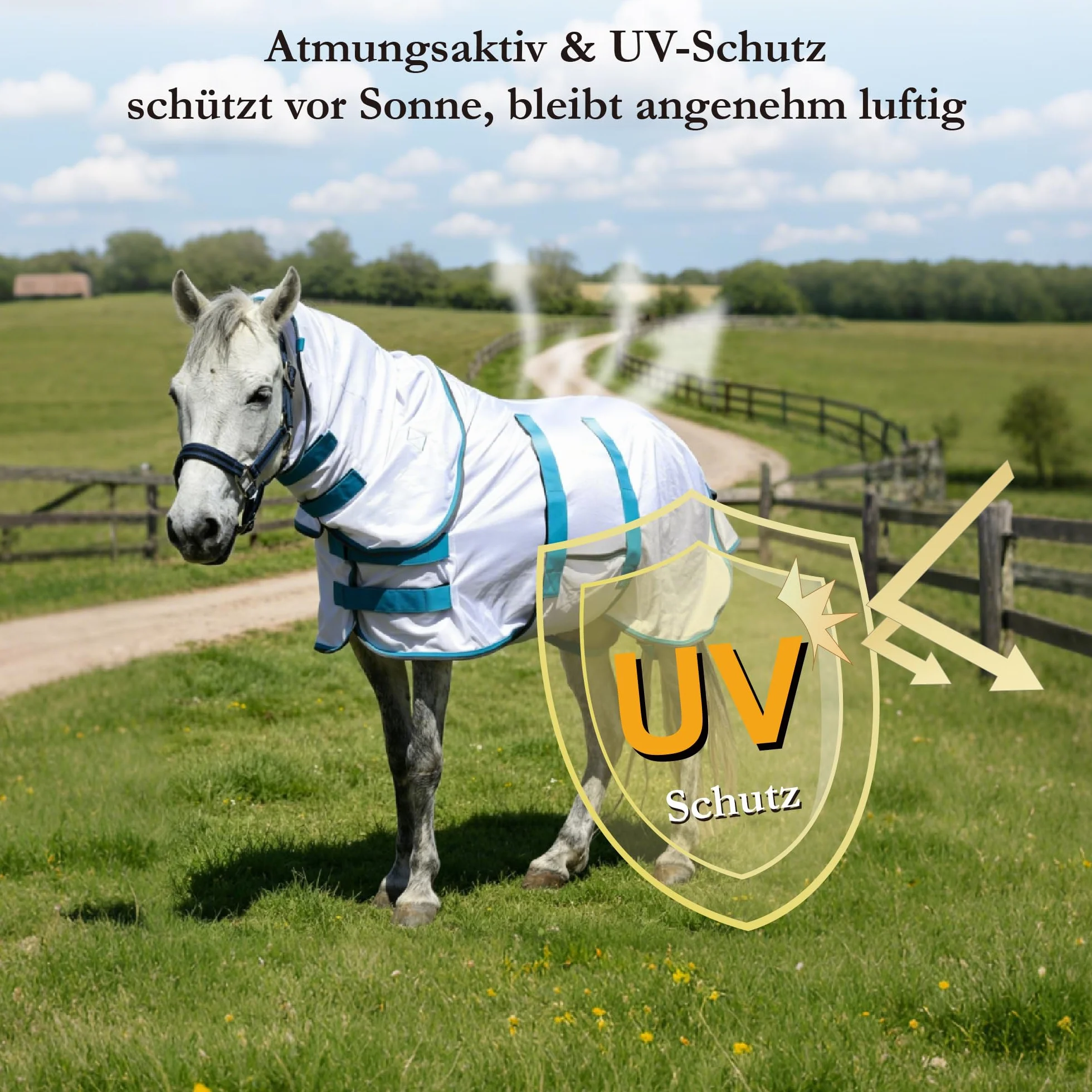 Couverture anti-mouches pour poney avec partie détachable pour le cou, respirante et légère, confortable, couverture d'été pour mini-, shetty- et poneys nains, sangles de poitrine et