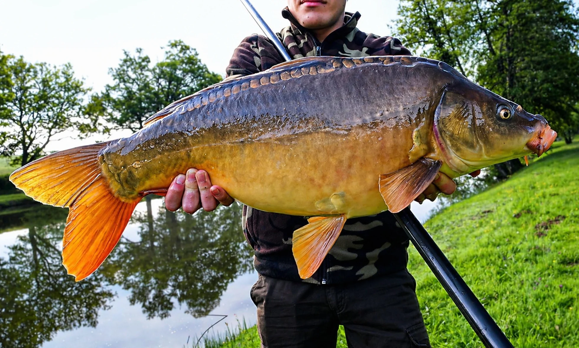 Canne à pêche au Coup Chinoise télescopique Carbone 7,2 m 320 g Puissance 14 kg Carpe Eau Douce