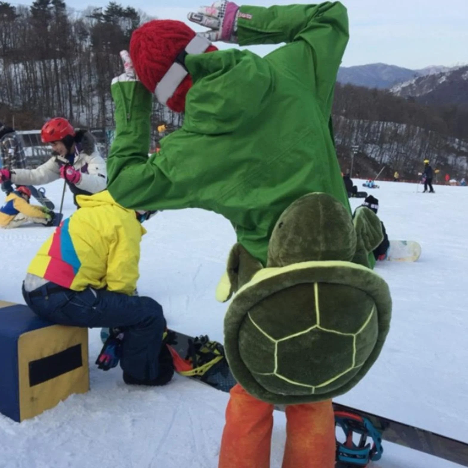 Tapis de Snowboard Turtle – Tapis de Fesses Turtle | Tortues Butt Pads Snowboard, Snowboards Tortue Coussin, Ski Snowboards Patinage Pads Tur-tle Hip Coude Genou Protection pour Adultes